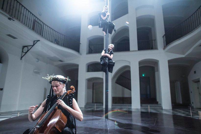 Vrány. Photo: Dita Havránková.